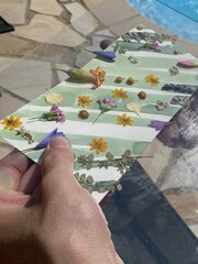 Cyanotype / blueprint process with summer flowers and leaves with glass plate ready to be exposed in the sun