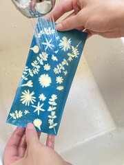 Final process making blueprints is pouring water over the exposed paper 