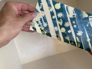 Woman holding exposed blueprint under running, cold water.  