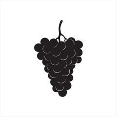 grapes vector illustration