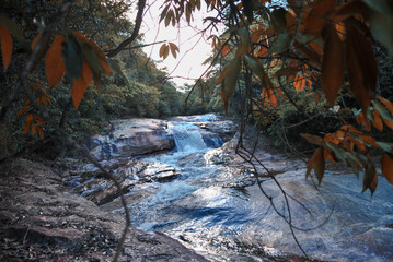 waterfall in the forest