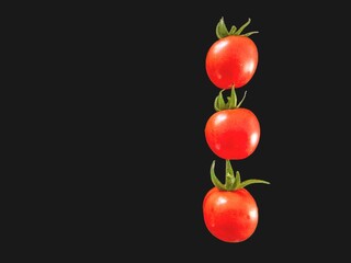red tomatoes on a vine