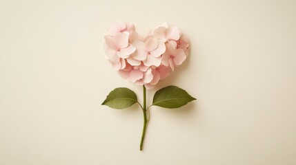 Heartshaped flower of pink hydrangea petals, with a green stem and leaves, arranged on a cream background, symbolizing love and romance