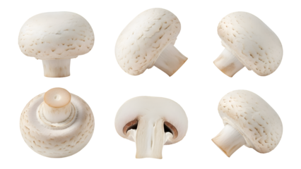 Six white button mushrooms shown from different angles on black background white mushroom