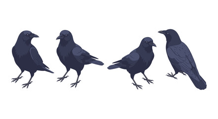 Obraz premium Crows group in detailed style on white background