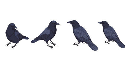 Obraz premium Realistic dark bird designs with multiple side view poses