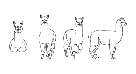 Naklejka premium Set of alpaca outlines in various poses for creative projects