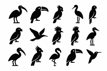 Naklejka premium Silhouette collection of various bird species in distinctive poses