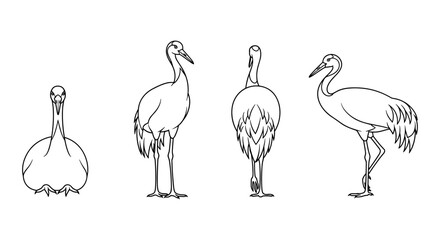 Obraz premium Elegant bird silhouettes in minimalist outline style showcasing different poses