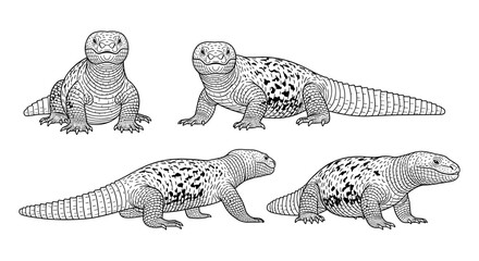 Naklejka premium Detailed black and white reptile illustrations of komodo dragons with various patterns