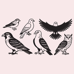 Fototapeta premium Collection Of Six Different Bird Silhouettes In Line Art birds eagle