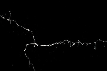 White paint splash isolated on black background.