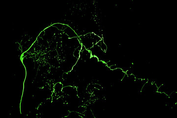 Green paint splash isolated on black background.