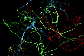 Colored paint splashes isolated on black background