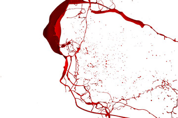 Red paint splash isolated on a white background.
