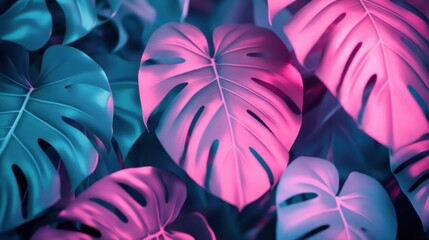 Vibrant monstera leaves illuminated with striking neon pink and blue lights, creating a captivating tropical and futuristic aesthetic