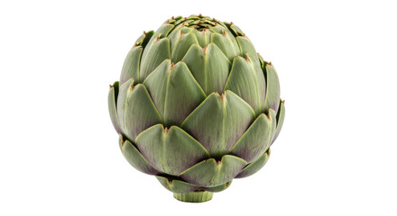Obraz premium Fresh green artichoke isolated PNG, healthy vegetable on transparent background for cooking and vegetarian recipes