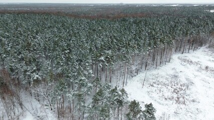 Winter morning view of frosty countryside