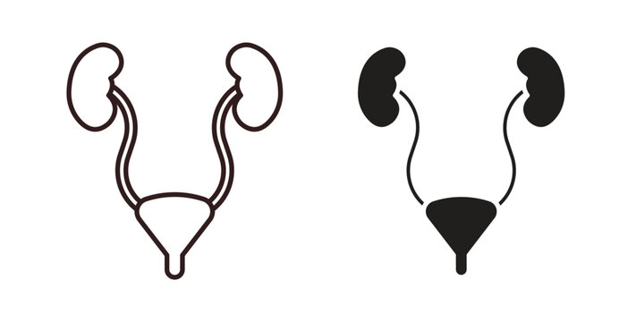 Urology icon concept. Glyph vector illustration isolated. Simple solid style.