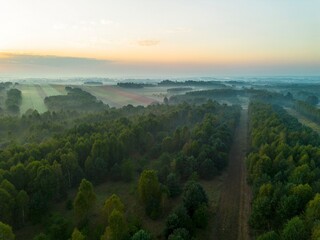 Obraz premium Wet, misty morning in vibrant countryside landscape