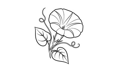 Fototapeta premium pure solid black empty background or blank screen