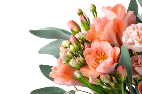 Beautiful bouquet of peach and pink flowers with eucalyptus leaves on black background