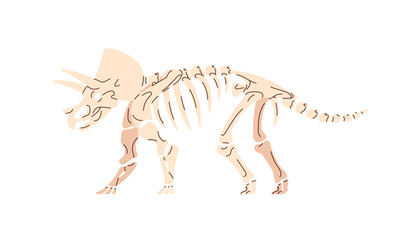 Skeleton of Triceratops dinosaur. Ancient dino, Ceratops on exposition. Exhibit of paleontology museum. Fossil discovery, old remains, bones. Flat isolated vector illustration on white background.
