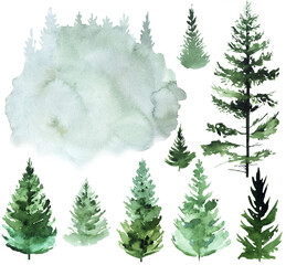 Hand drawn watercolor green spruce or pine trees, isolated illustration for winter stationery