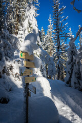 Footpath and a snow-covered signpost in a winter forest