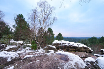 Snow on the 25 bumps circuit in Trois Pignons forest. Fontainebleau Massif	