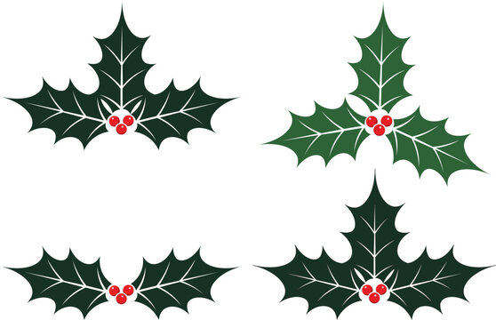 Vector set of christmas holly leaves with red berries, colorful and outline designs, isolated on white background