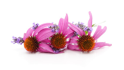Echinacea and lavender bouquet.