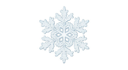 Detailed Realistic Ice Crystal Snowflake