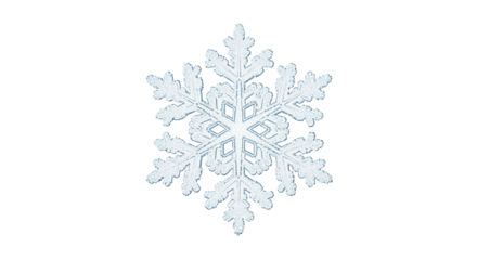 Detailed Realistic Ice Crystal Snowflake