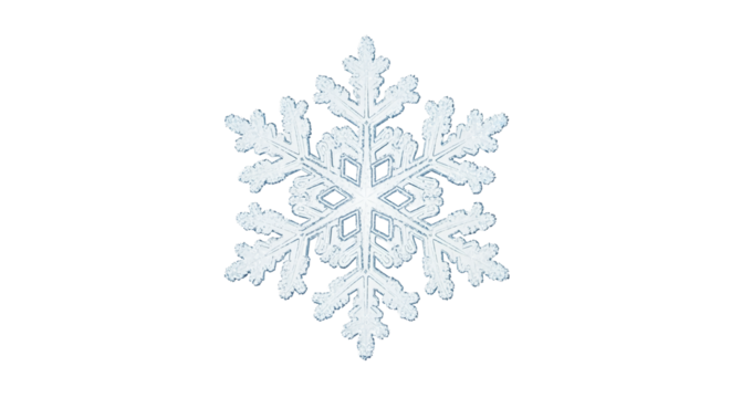 Detailed Realistic Ice Crystal Snowflake