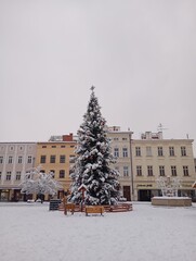 christmas tree in the city