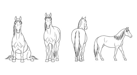Elegant horse line art set in four poses with detailed sketch design