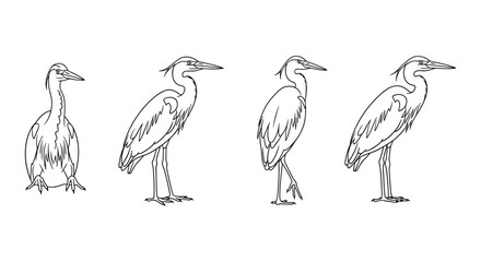 Fototapeta premium Heron silhouette set showcasing various poses in linear style