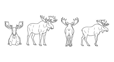Fototapeta premium Moose in various poses: detailed line art of majestic wildlife