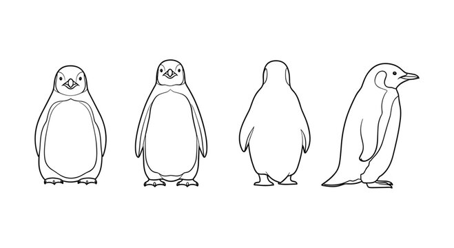 Penguin outline set: front, back, side views for creative designs