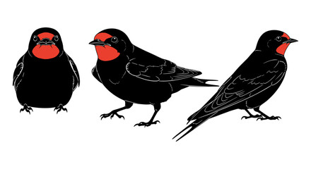 Obraz premium Stylized swallow bird illustrations in black and red silhouette