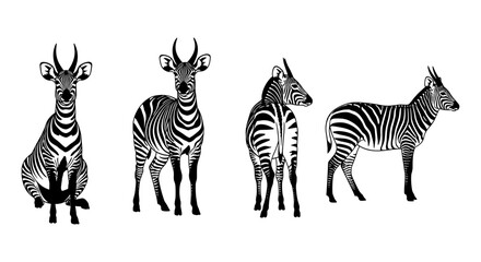 Obraz premium Animal silhouette collection featuring zebra and antelope in bold black and white