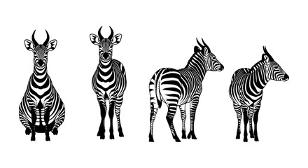 Obraz premium Zebra silhouettes: diverse poses in bold black and white designs