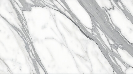 White Marble with Dramatic Gray Vein Patterns texture