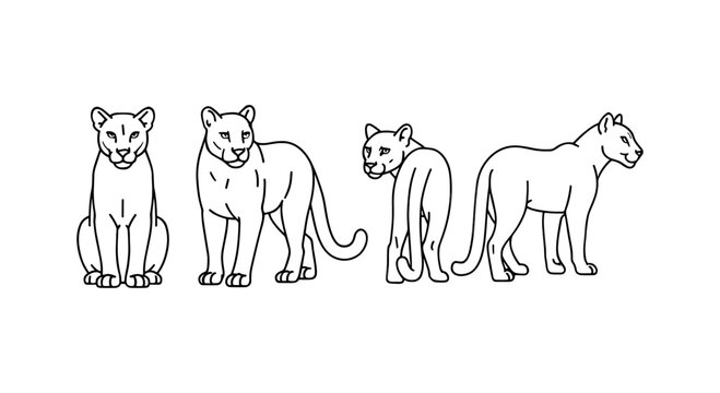 Panther line drawings in various poses on white background