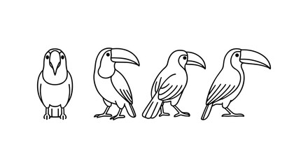 Naklejka premium Outline drawings of toucans in multiple poses