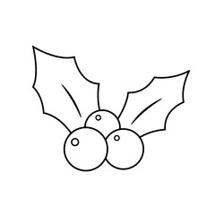 Christmas holly berry outline illustration with leaves and round berries