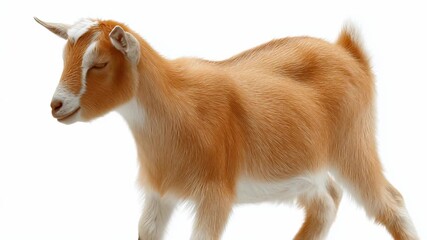 Exciting street performance showcasing talented musicians in a vibrant city square during a sunny afternoon