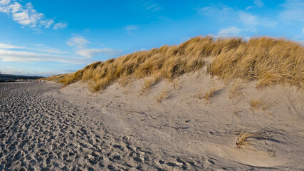 View of beaches with sand and plenty of natural grasses