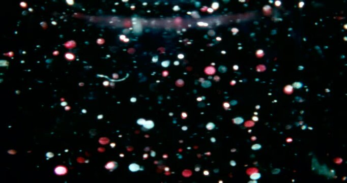 Red, blue, and silver particles drift through water in a dark space, reflecting cool and warm light&mdash;cosmic, dreamy, glittering star-like movement.